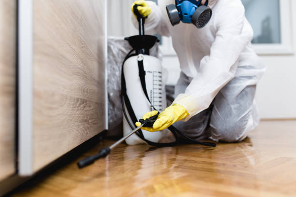 Best Rat Extermination Near Me  in Baton Rouge, LA