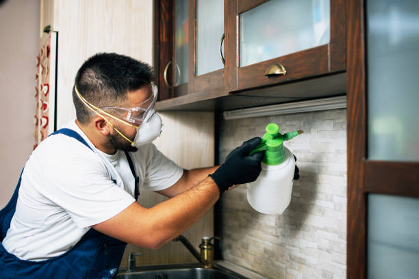 Wasp Removal Services in Baton Rouge, LA