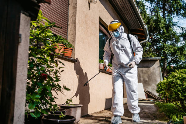 Best Pest Control for Businesses  in Baton Rouge, LA