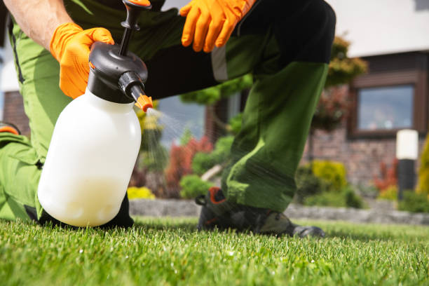 Best Termite Control Services  in Baton Rouge, LA