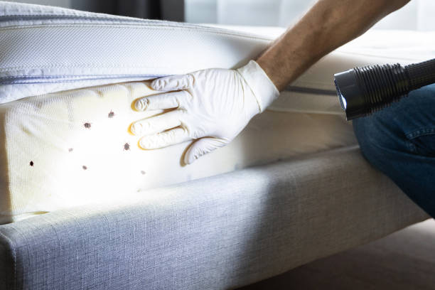 Best Emergency Pest Control  in Baton Rouge, LA