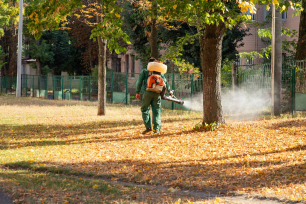 Best Spider Control Near Me  in Baton Rouge, LA