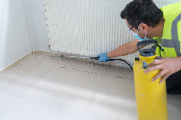 Best Pest Control for Homes  in Baton Rouge, LA