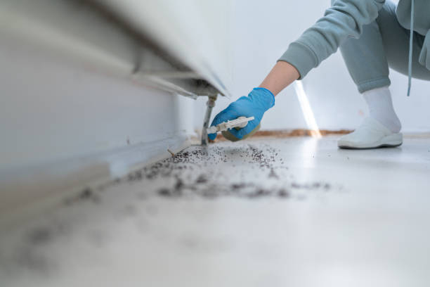 Best Bed Bug Extermination  in Baton Rouge, LA